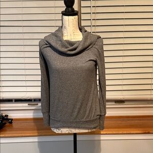 Elan Metallic Gray Cowl Neck Sweater